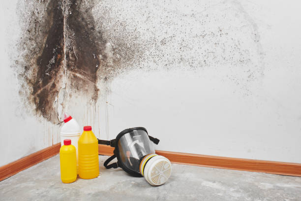 Best Office Mold Removal Services  in Waterford, CA