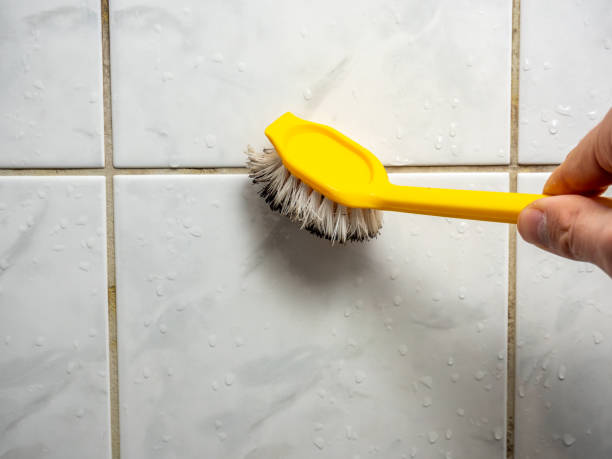Certified Mold Removal in Waterford, CA