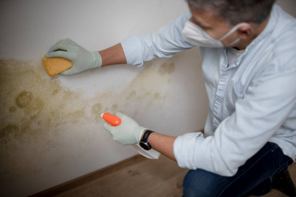 Best Residential Mold Removal  in Waterford, CA