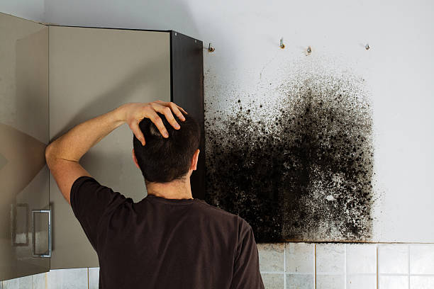 Best Home Mold Removal  in Waterford, CA